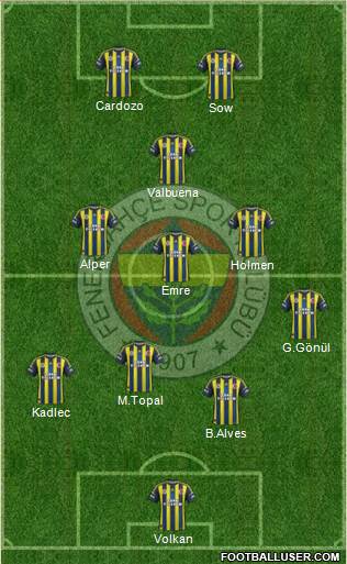 Fenerbahçe SK Formation 2013