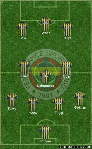 Fenerbahçe SK Formation 2013