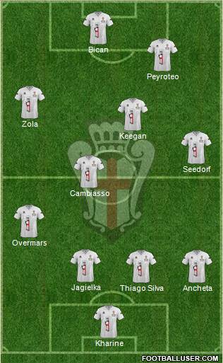 Pro Vercelli Formation 2013