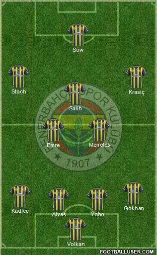 Fenerbahçe SK Formation 2013
