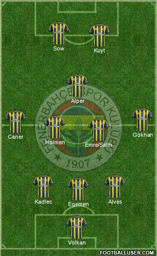 Fenerbahçe SK Formation 2013