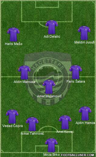 Hacettepe Formation 2013