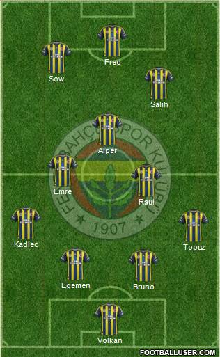 Fenerbahçe SK Formation 2013