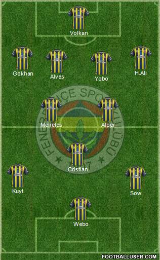 Fenerbahçe SK Formation 2013