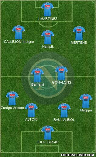 Napoli Formation 2013