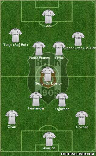 Besiktas JK Formation 2013