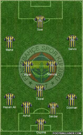 Fenerbahçe SK Formation 2013