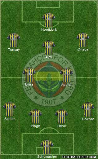 Fenerbahçe SK Formation 2013