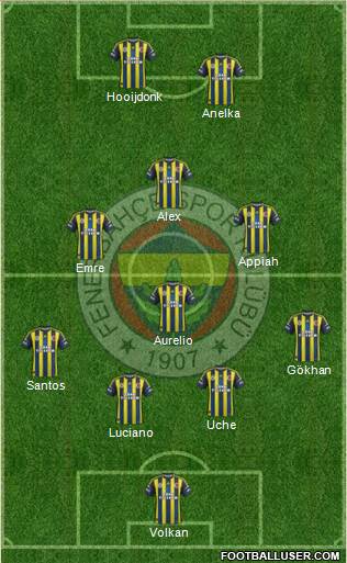 Fenerbahçe SK Formation 2013