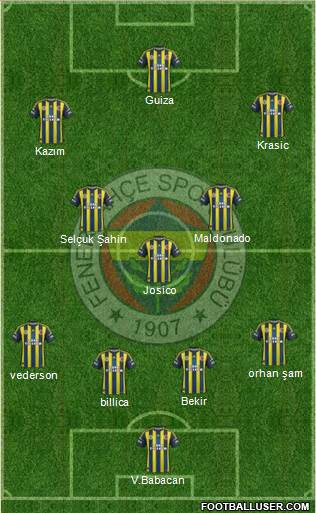 Fenerbahçe SK Formation 2013
