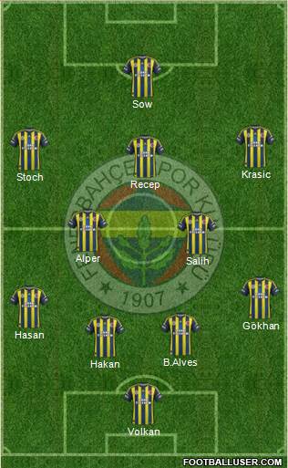 Fenerbahçe SK Formation 2013