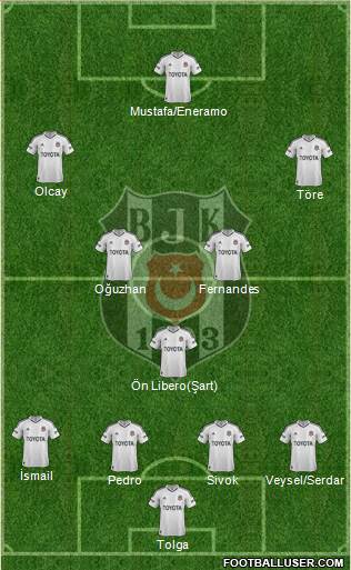 Besiktas JK Formation 2013