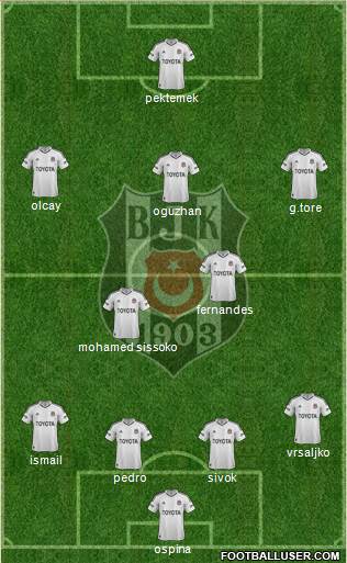 Besiktas JK Formation 2013