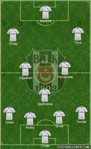 Besiktas JK Formation 2013