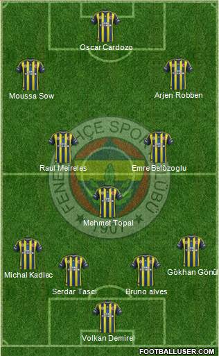 Fenerbahçe SK Formation 2013