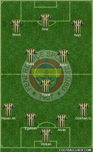 Fenerbahçe SK Formation 2013