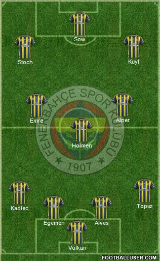 Fenerbahçe SK Formation 2013