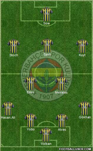 Fenerbahçe SK Formation 2013