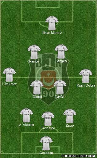 Besiktas JK Formation 2013