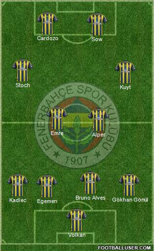Fenerbahçe SK Formation 2013