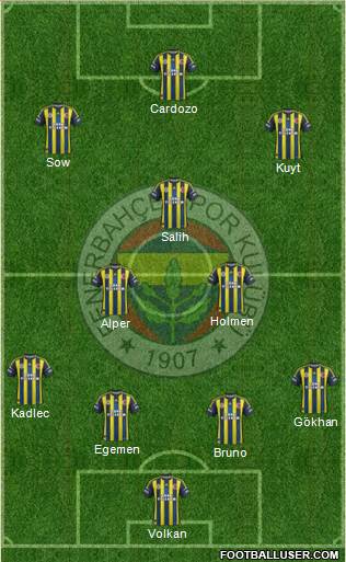 Fenerbahçe SK Formation 2013