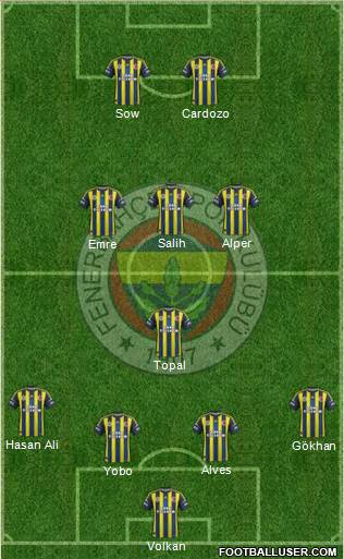 Fenerbahçe SK Formation 2013