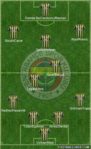Fenerbahçe SK Formation 2013