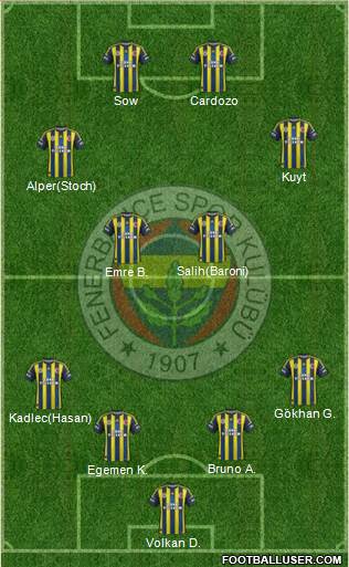 Fenerbahçe SK Formation 2013