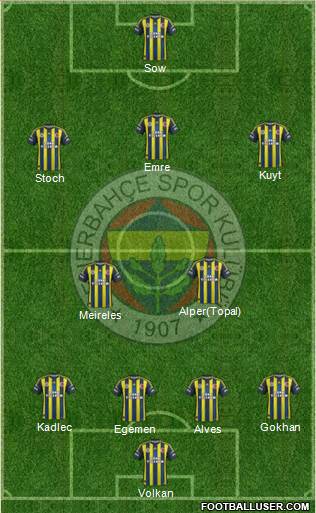 Fenerbahçe SK Formation 2013
