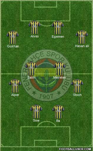 Fenerbahçe SK Formation 2013