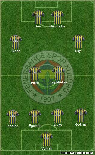 Fenerbahçe SK Formation 2013
