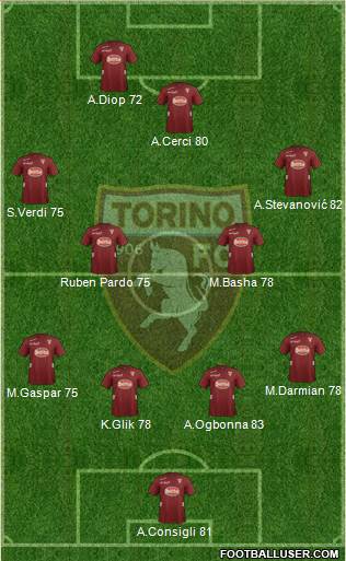 Torino Formation 2013