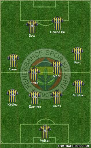 Fenerbahçe SK Formation 2013