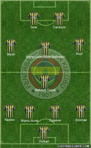 Fenerbahçe SK Formation 2013