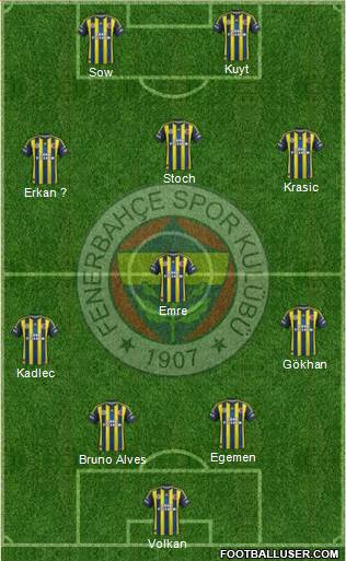 Fenerbahçe SK Formation 2013