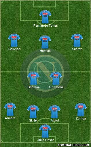 Napoli Formation 2013