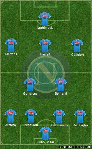Napoli Formation 2013
