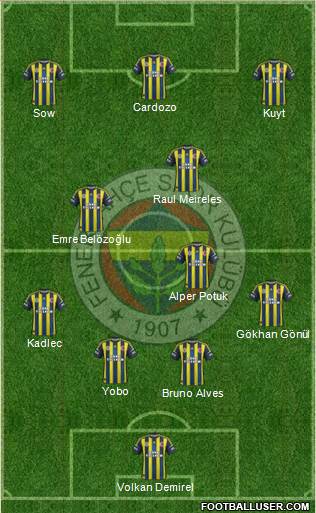 Fenerbahçe SK Formation 2013