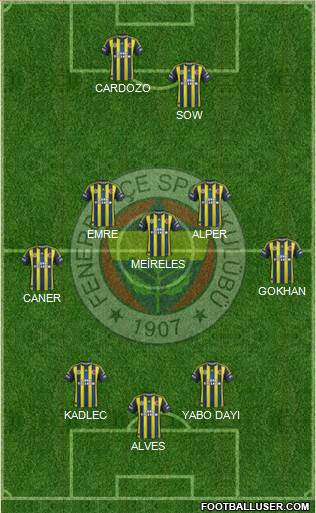 Fenerbahçe SK Formation 2013