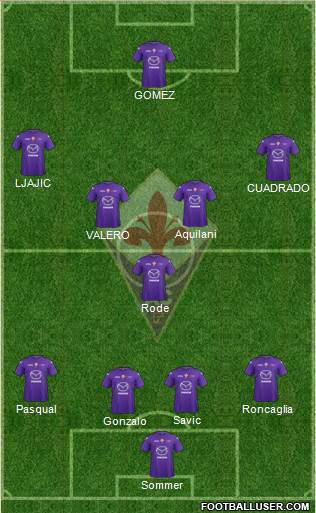 Fiorentina Formation 2013