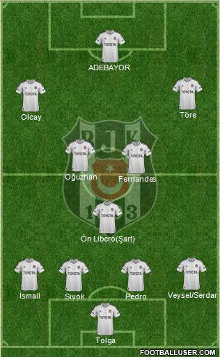 Besiktas JK Formation 2013