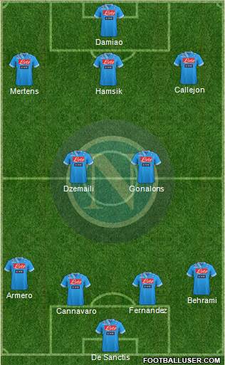Napoli Formation 2013