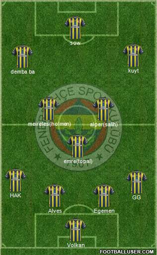 Fenerbahçe SK Formation 2013