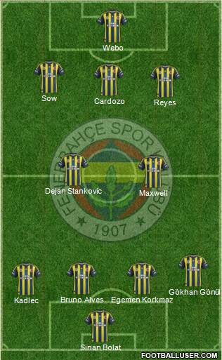 Fenerbahçe SK Formation 2013