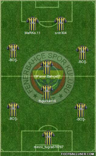 Fenerbahçe SK Formation 2013