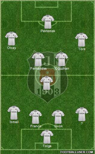Besiktas JK Formation 2013