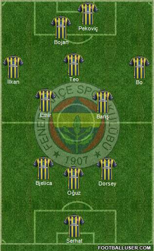 Fenerbahçe SK Formation 2013