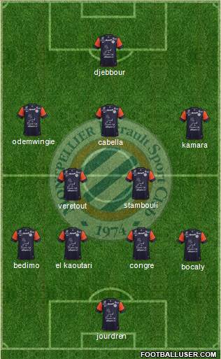 Montpellier Hérault Sport Club Formation 2013