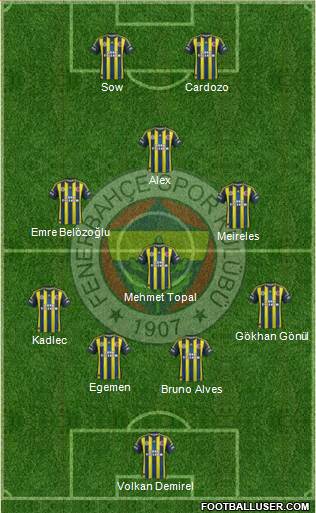 Fenerbahçe SK Formation 2013