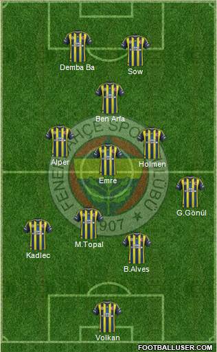 Fenerbahçe SK Formation 2013